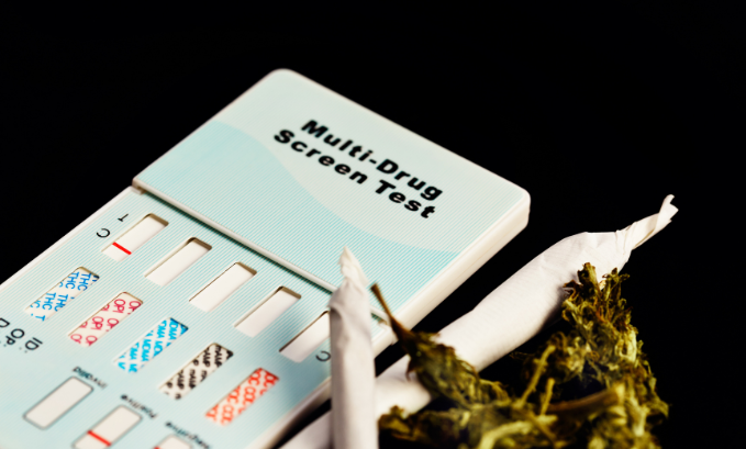 HHC vs THC: Does HHC Show Up on a THC Drug Test?